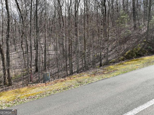 65 St Andrews Way, Ellijay, GA 30536