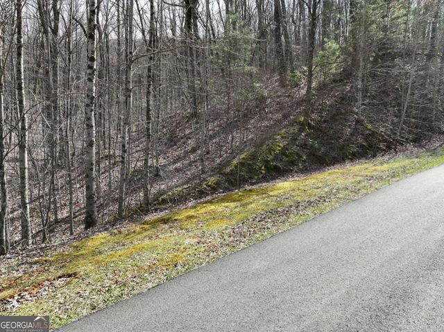 65 St Andrews Way, Ellijay, GA 30536