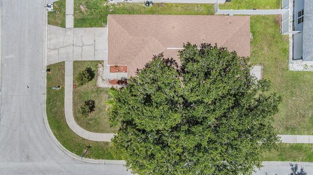 11022 CONNACHT WAY, Tampa, FL 33610