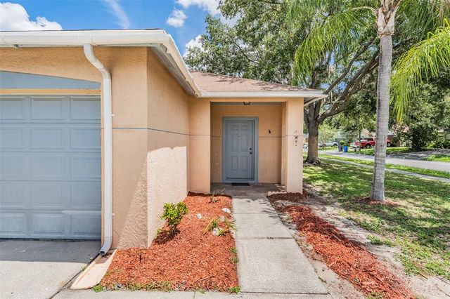 11022 CONNACHT WAY, Tampa, FL 33610
