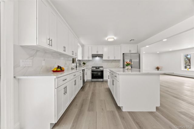 193 Frederick Avenue, South Floral Park, NY 11001