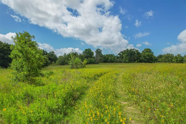 10344 County Road 446, Somerville, TX 77879
