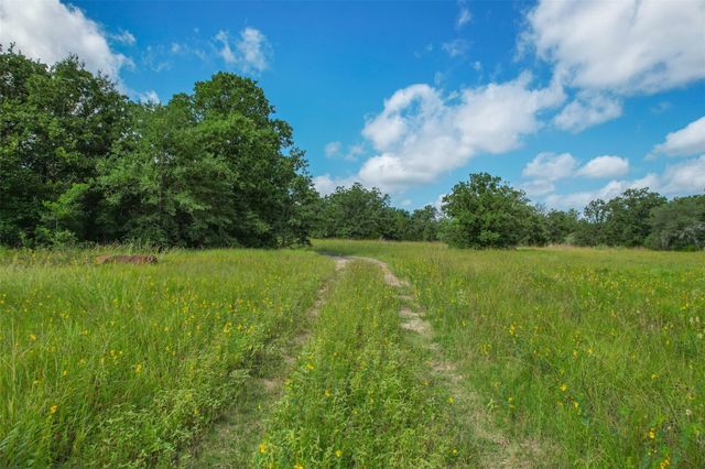 10344 County Road 446, Somerville, TX 77879