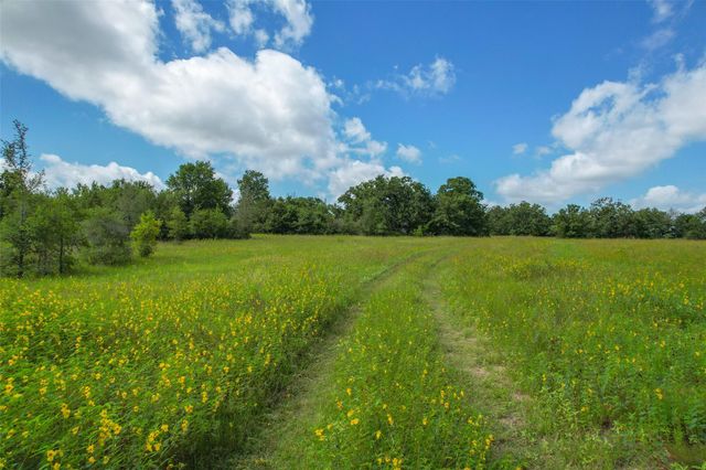 10344 County Road 446, Somerville, TX 77879