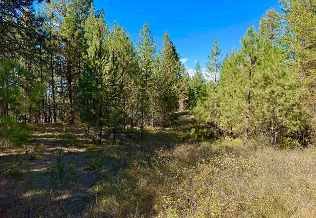 3961 231 Hwy, Springdale, WA 99173