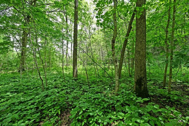 6244 Watt Road, Camden, OH 45311