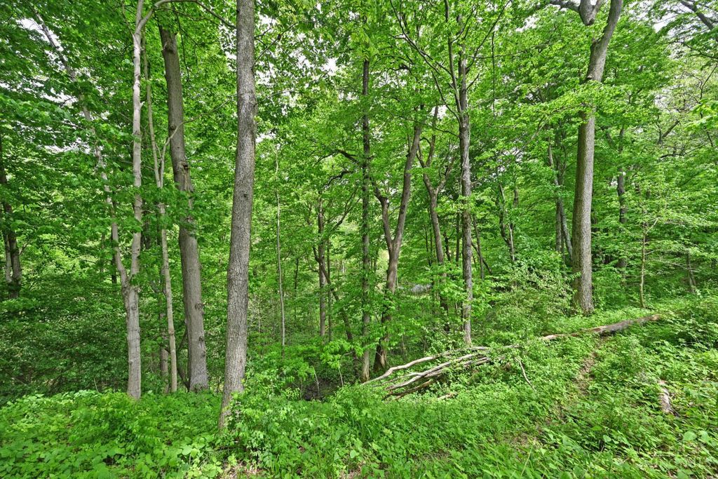 6244 Watt Road, Camden, OH 45311