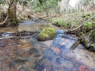 LT 45A Synacia Drive, Mineral Bluff, GA 30559