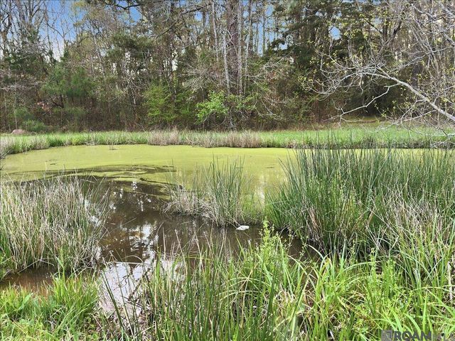 15410 Pride Port Hudson Rd, Pride, LA 70770