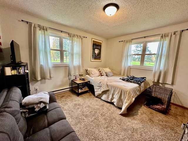 116 S Birch Drive, Lake Twp, MN 56763