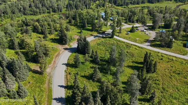 15515 Tovarish Road, Ninilchik, AK 99639