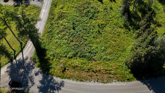 15515 Tovarish Road, Ninilchik, AK 99639