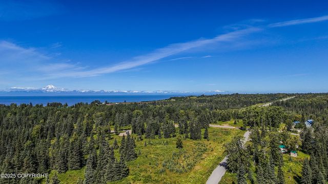 15515 Tovarish Road, Ninilchik, AK 99639