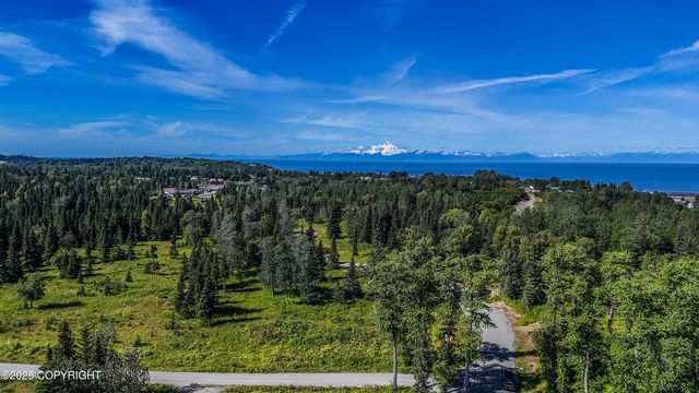 15515 Tovarish Road, Ninilchik, AK 99639