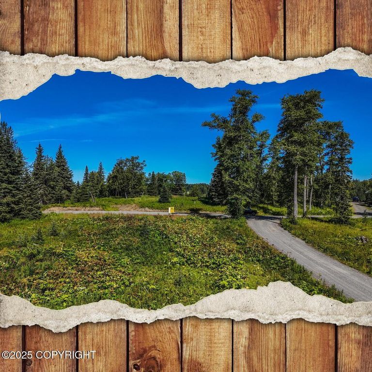 15515 Tovarish Road, Ninilchik, AK 99639