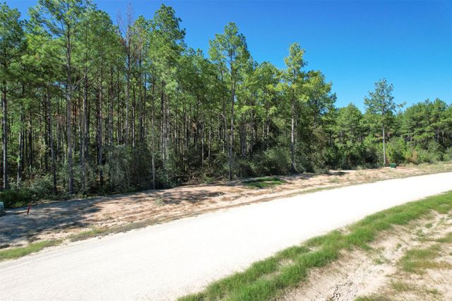 15409 Forest Grove Drive, Willis, TX 77378
