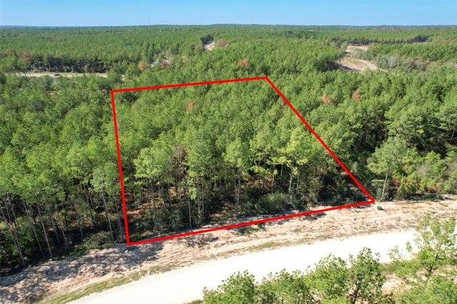 15409 Forest Grove Drive, Willis, TX 77378