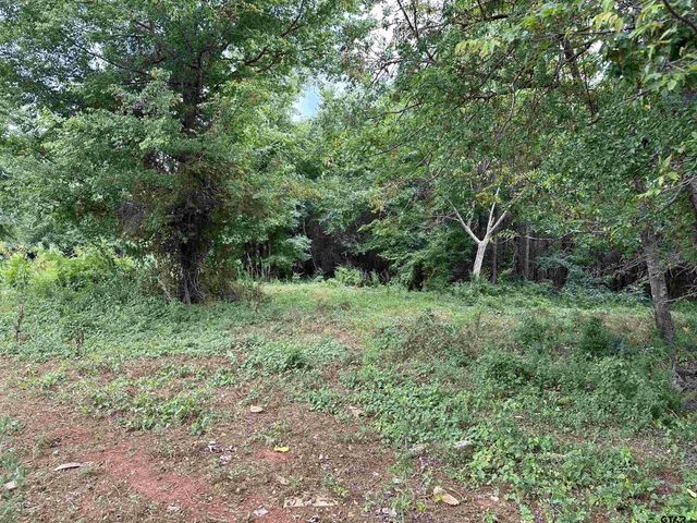 3697 An County Road 309 Tract 1, Frankston, TX 75763