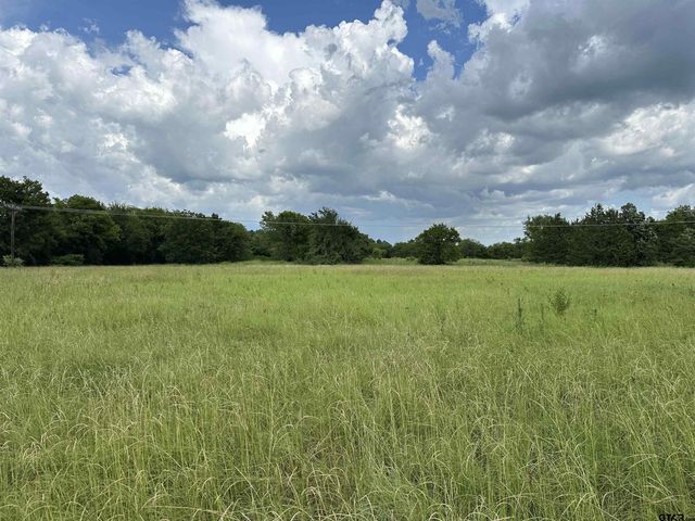 3697 An County Road 309 Tract 1, Frankston, TX 75763