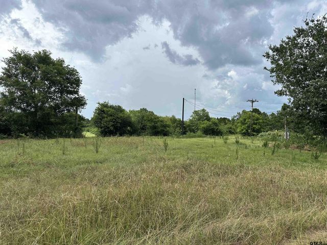 3697 An County Road 309 Tract 1, Frankston, TX 75763