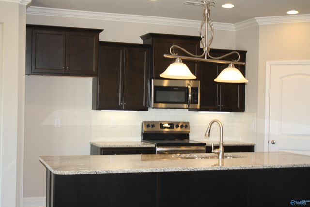 216 Brighton Park Way, Madison, AL 35756