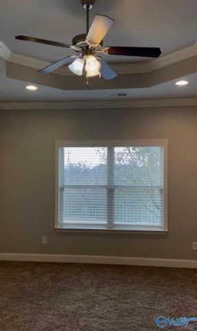 216 Brighton Park Way, Madison, AL 35756