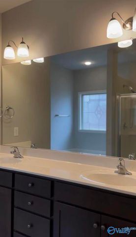 216 Brighton Park Way, Madison, AL 35756