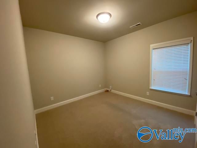 216 Brighton Park Way, Madison, AL 35756
