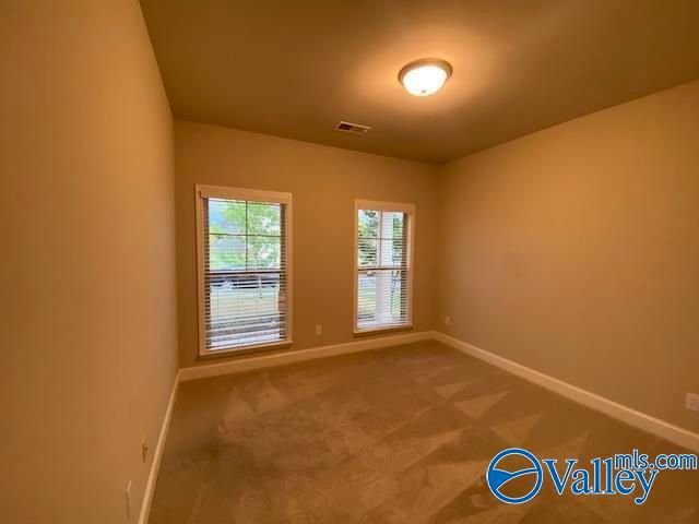 216 Brighton Park Way, Madison, AL 35756