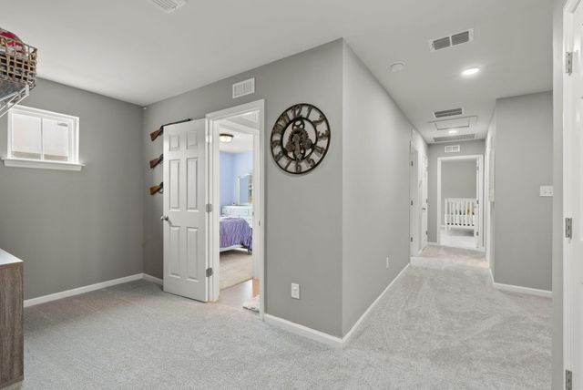 205 Basket Grass Lane, Summerville, SC 29486