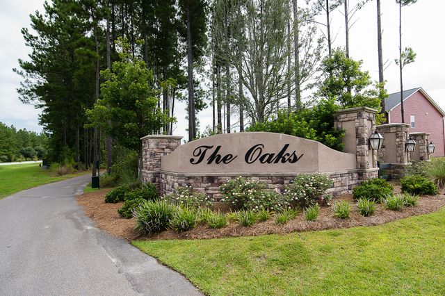 205 Basket Grass Lane, Summerville, SC 29486