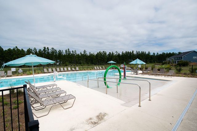 205 Basket Grass Lane, Summerville, SC 29486