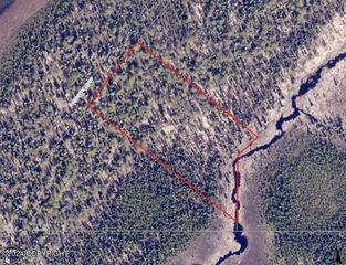 L361 Hyacinth Loop, Remote, AK 99000
