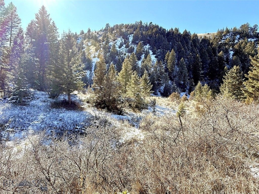 Lot 27 tbd Round Pole Drive, Three Forks, MT 59752 photo 12