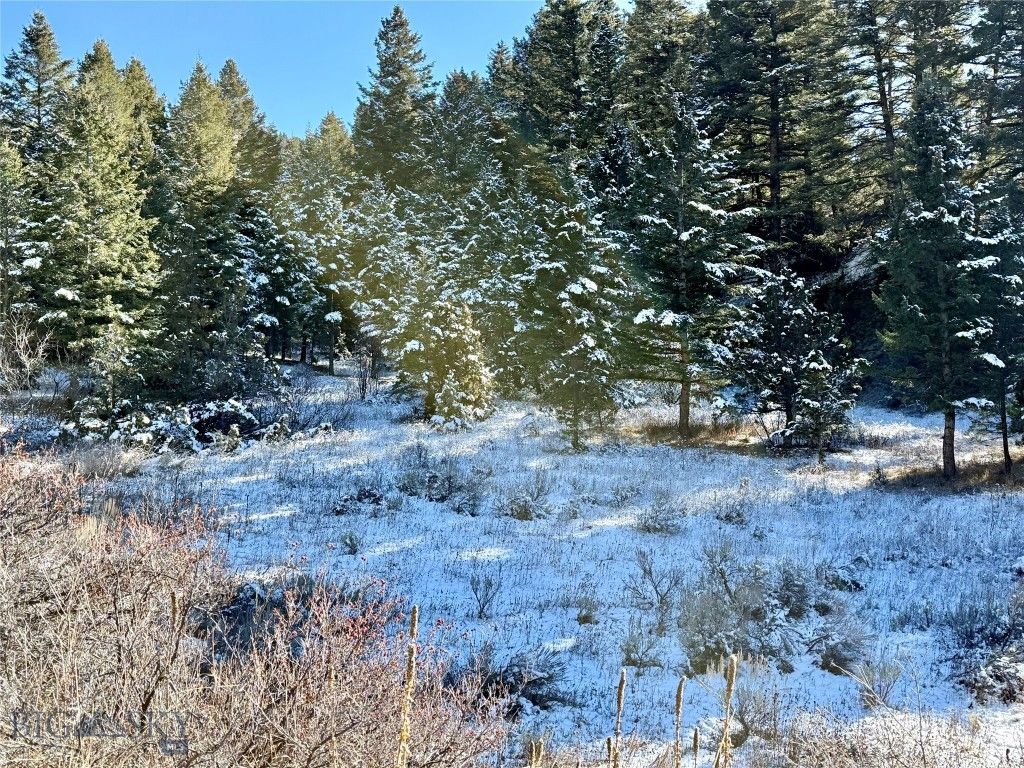 Lot 27 tbd Round Pole Drive, Three Forks, MT 59752 photo 3