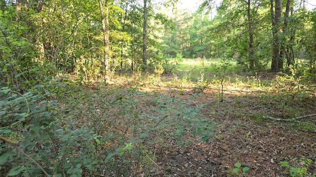 0 Bones Way Ln, Shepherd, TX 77371