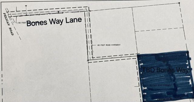 0 Bones Way Ln, Shepherd, TX 77371