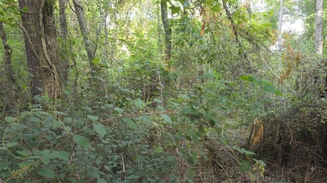0 Bones Way Ln, Shepherd, TX 77371