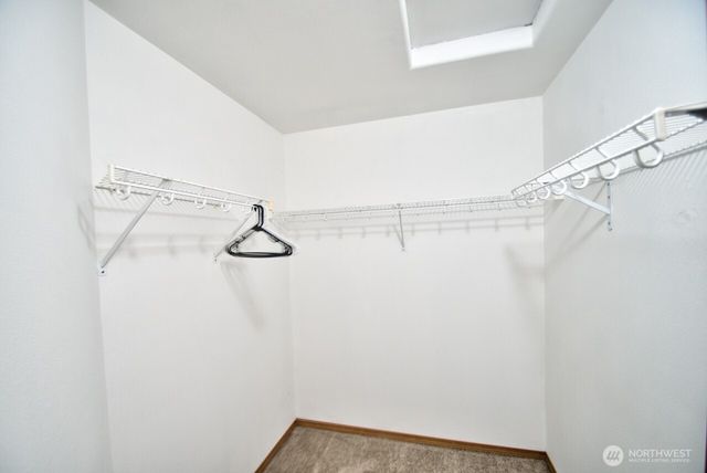 164 Beville Road, Boistfort, WA 98532