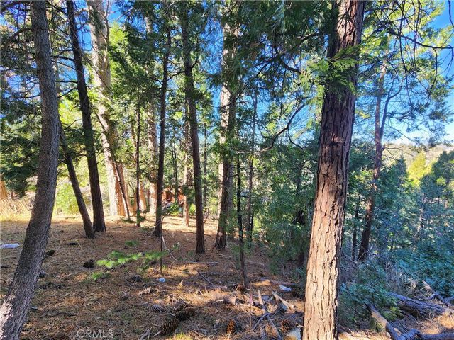 24200 Altdorf, Crestline, CA 92325