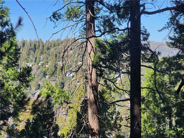 24200 Altdorf, Crestline, CA 92325