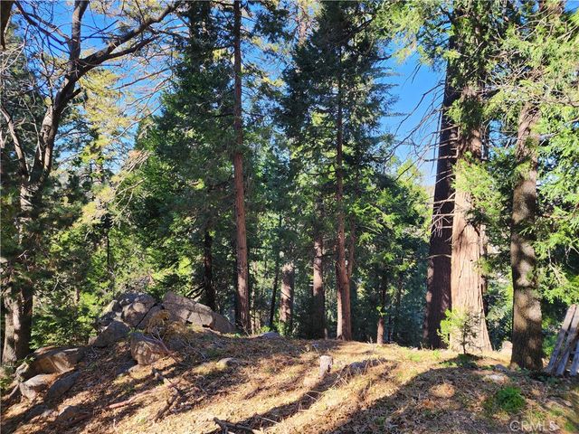 24200 Altdorf, Crestline, CA 92325
