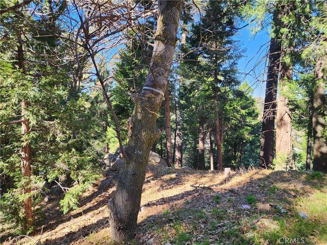 24200 Altdorf, Crestline, CA 92325