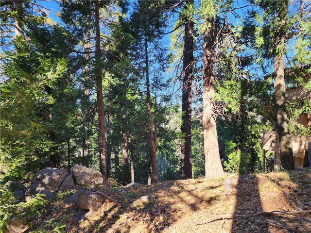 24200 Altdorf, Crestline, CA 92325