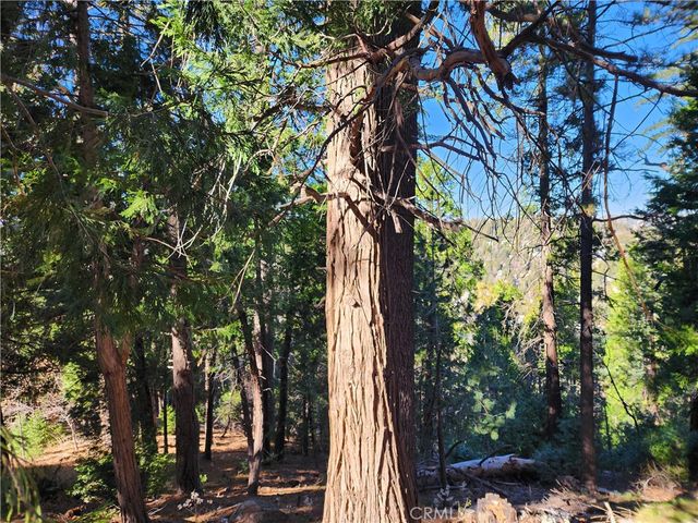24200 Altdorf, Crestline, CA 92325