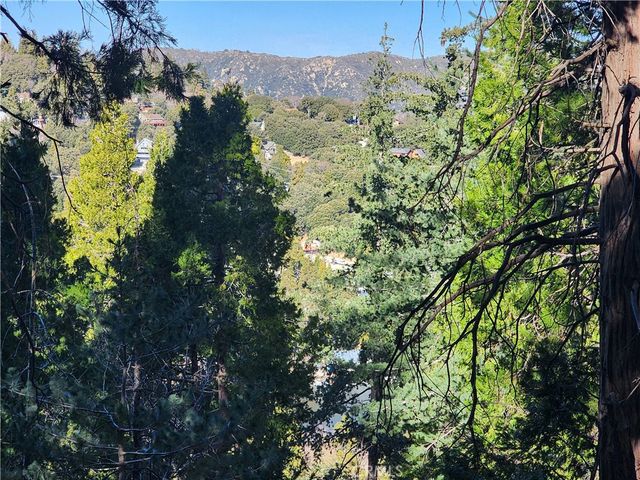 24200 Altdorf, Crestline, CA 92325