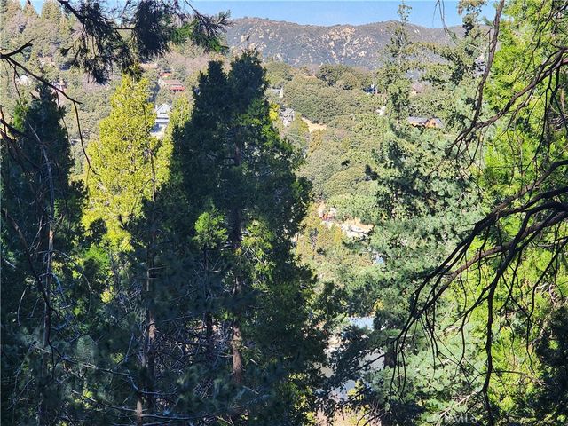 24200 Altdorf, Crestline, CA 92325