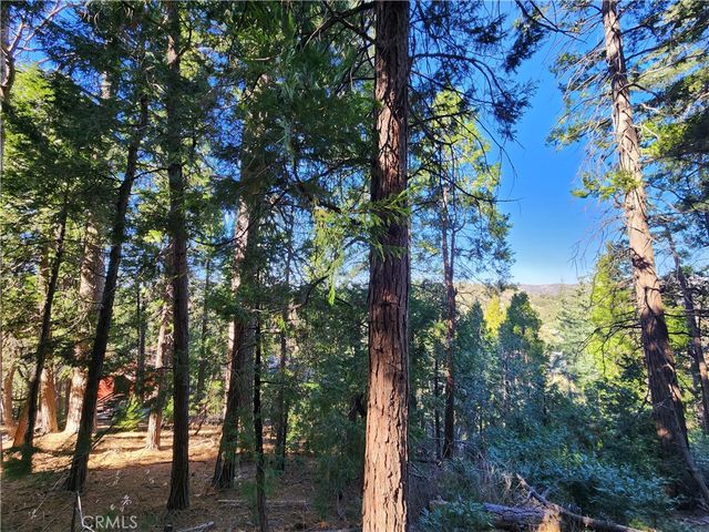 24200 Altdorf, Crestline, CA 92325