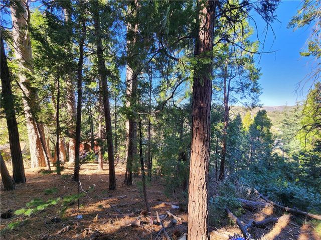 24200 Altdorf, Crestline, CA 92325