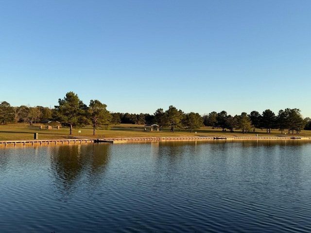 15522 Wood Grove Way, Willis, TX 77378